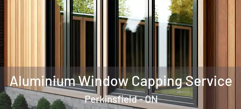  Aluminium Window Capping Service Perkinsfield - ON