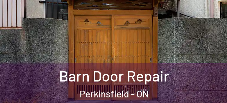  Barn Door Repair Perkinsfield - ON