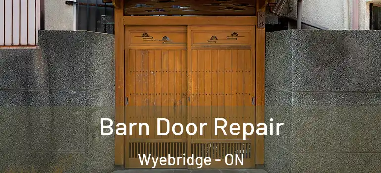 Barn Door Repair Wyebridge - ON