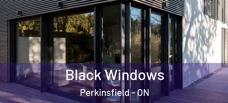 Black Windows Perkinsfield - ON