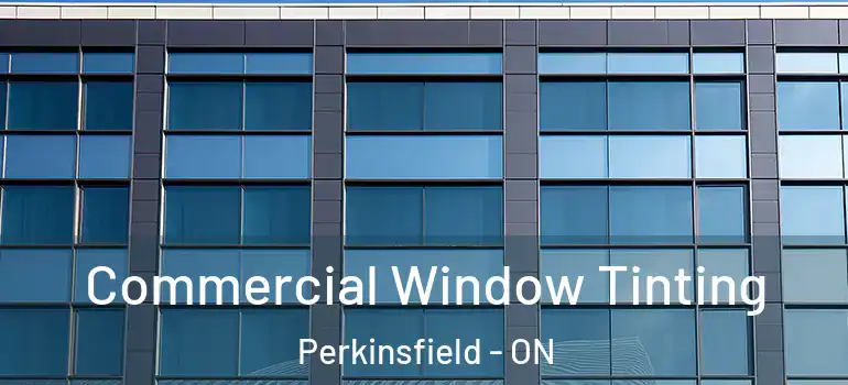  Commercial Window Tinting Perkinsfield - ON