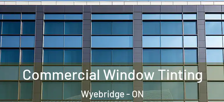  Commercial Window Tinting Wyebridge - ON