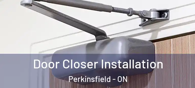  Door Closer Installation Perkinsfield - ON