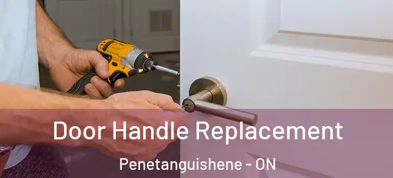  Door Handle Replacement Penetanguishene - ON