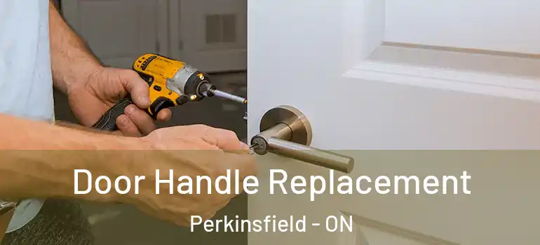  Door Handle Replacement Perkinsfield - ON