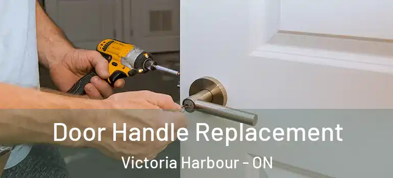 Door Handle Replacement Victoria Harbour - ON