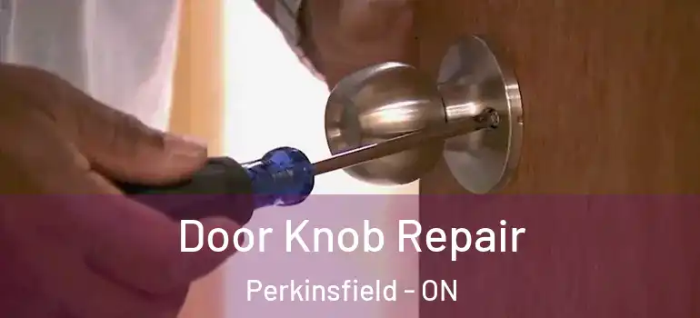  Door Knob Repair Perkinsfield - ON