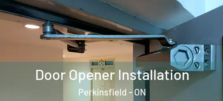  Door Opener Installation Perkinsfield - ON