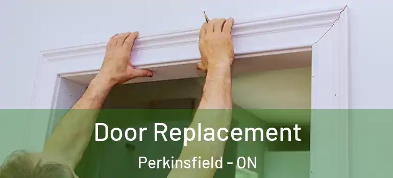  Door Replacement Perkinsfield - ON