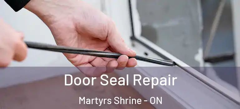  Door Seal Repair Martyrs Shrine - ON