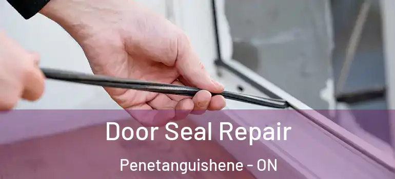  Door Seal Repair Penetanguishene - ON