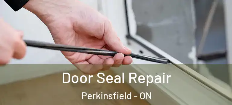 Door Seal Repair Perkinsfield - ON
