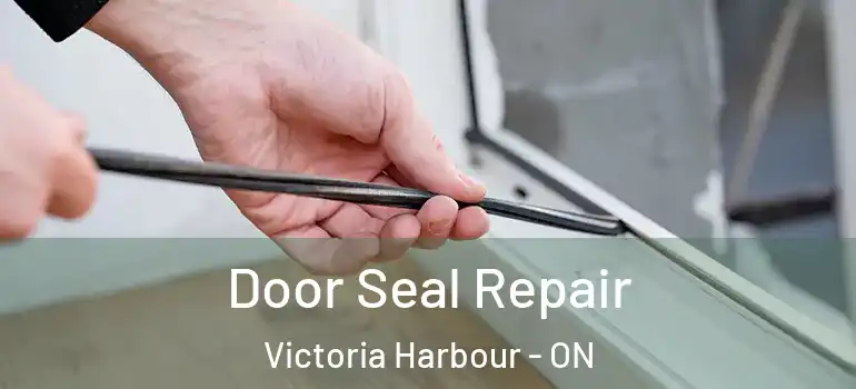  Door Seal Repair Victoria Harbour - ON