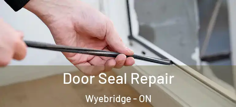  Door Seal Repair Wyebridge - ON