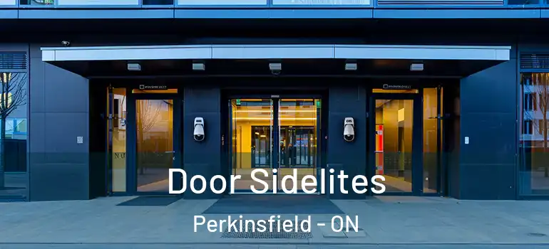  Door Sidelites Perkinsfield - ON