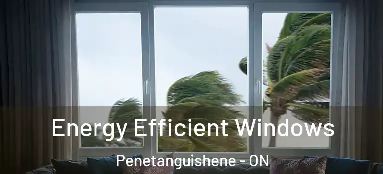  Energy Efficient Windows Penetanguishene - ON