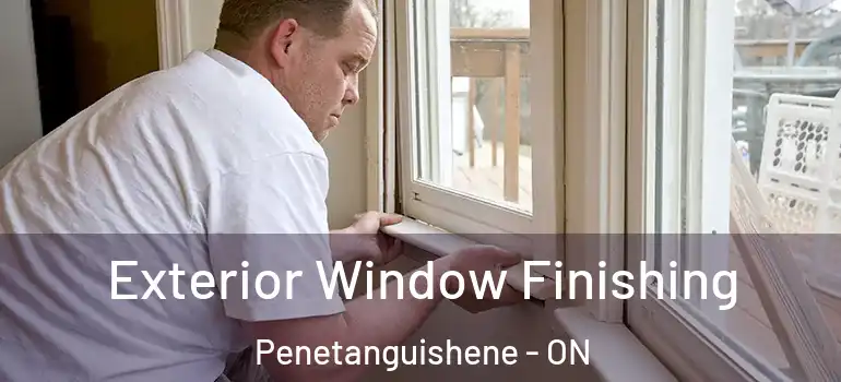  Exterior Window Finishing Penetanguishene - ON