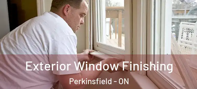  Exterior Window Finishing Perkinsfield - ON