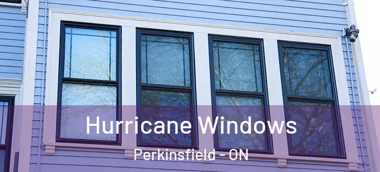  Hurricane Windows Perkinsfield - ON