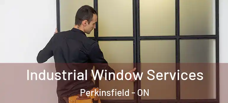  Industrial Window Services Perkinsfield - ON