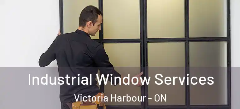  Industrial Window Services Victoria Harbour - ON