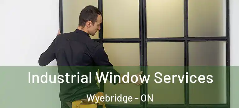  Industrial Window Services Wyebridge - ON