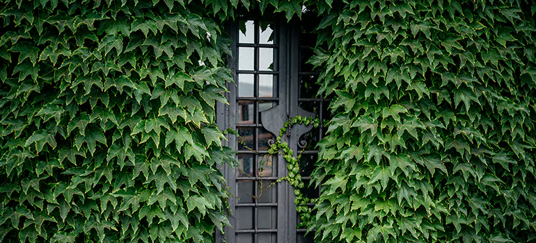 Garden Gate Repair in Midland, ON