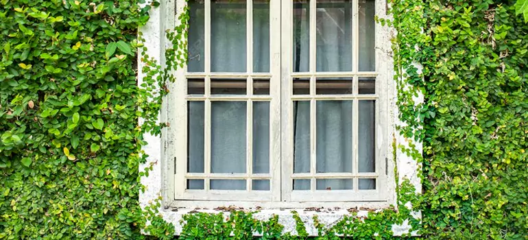 Garden Window Repair Near Me in Midland, ON