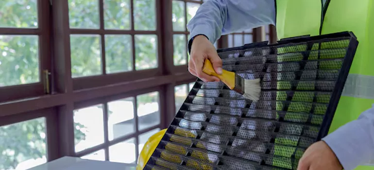 Traditional Window Grille Installation Options in Midland, ON