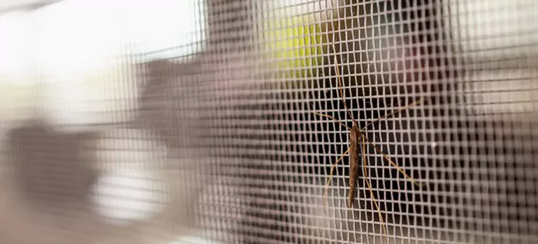 Repair Mosquito Mesh For Windows in Midland, Ontario