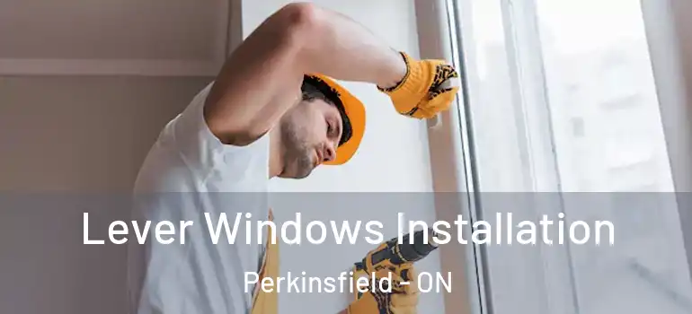  Lever Windows Installation Perkinsfield - ON