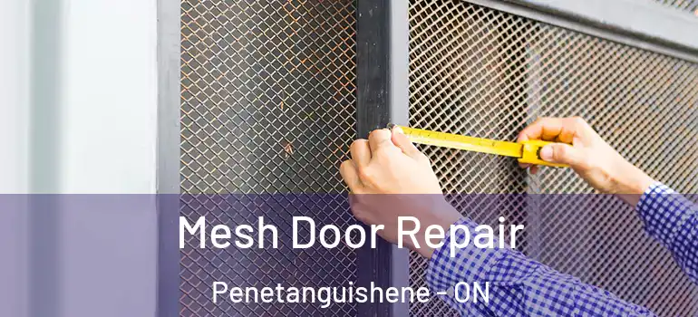  Mesh Door Repair Penetanguishene - ON