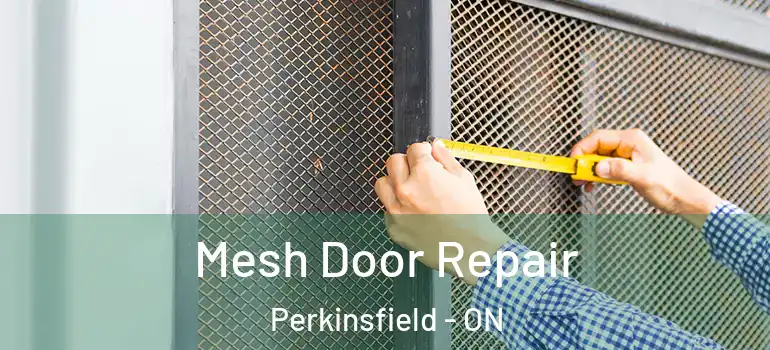  Mesh Door Repair Perkinsfield - ON