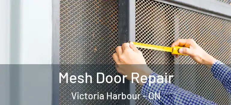  Mesh Door Repair Victoria Harbour - ON