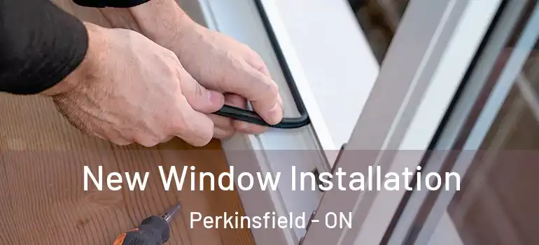  New Window Installation Perkinsfield - ON