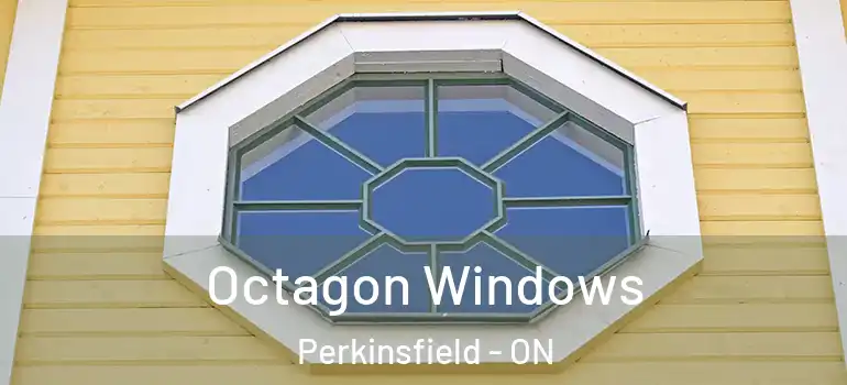  Octagon Windows Perkinsfield - ON
