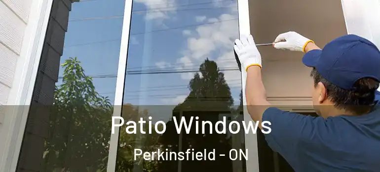  Patio Windows Perkinsfield - ON