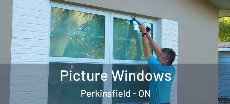  Picture Windows Perkinsfield - ON
