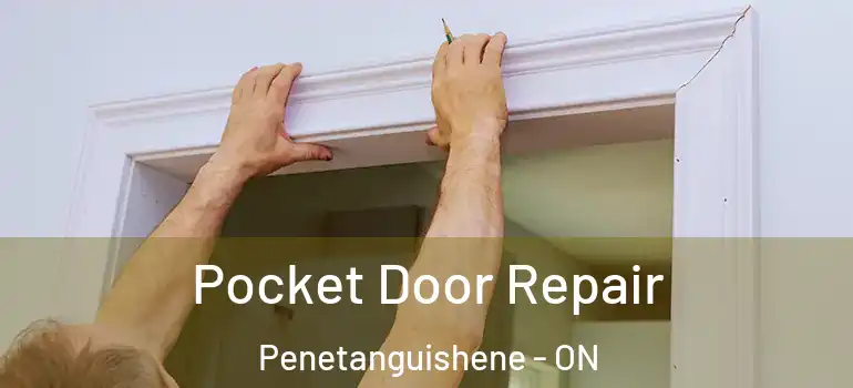  Pocket Door Repair Penetanguishene - ON