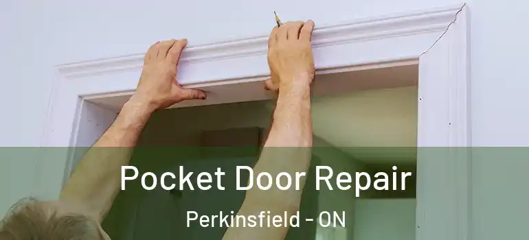  Pocket Door Repair Perkinsfield - ON