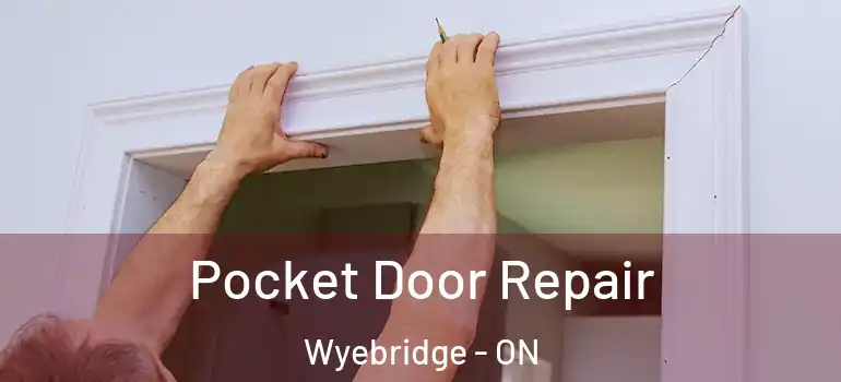  Pocket Door Repair Wyebridge - ON