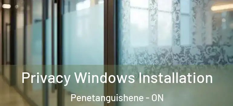  Privacy Windows Installation Penetanguishene - ON