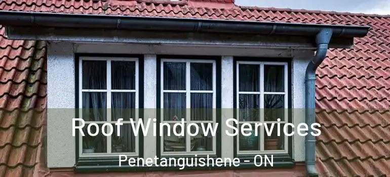  Roof Window Services Penetanguishene - ON