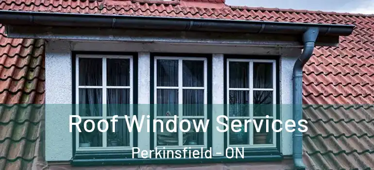  Roof Window Services Perkinsfield - ON