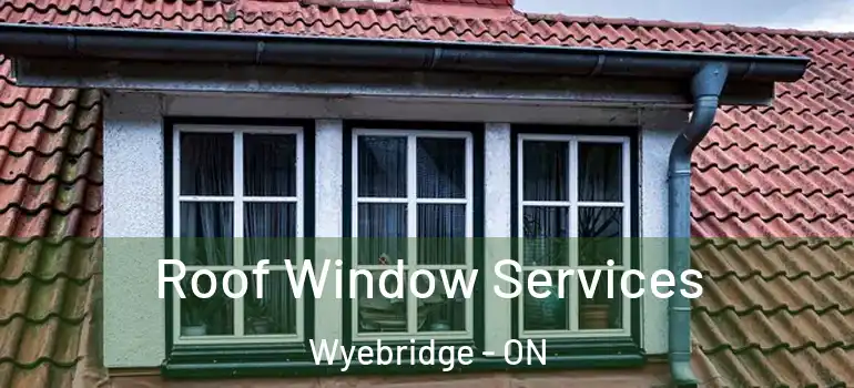  Roof Window Services Wyebridge - ON