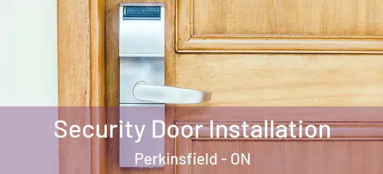  Security Door Installation Perkinsfield - ON