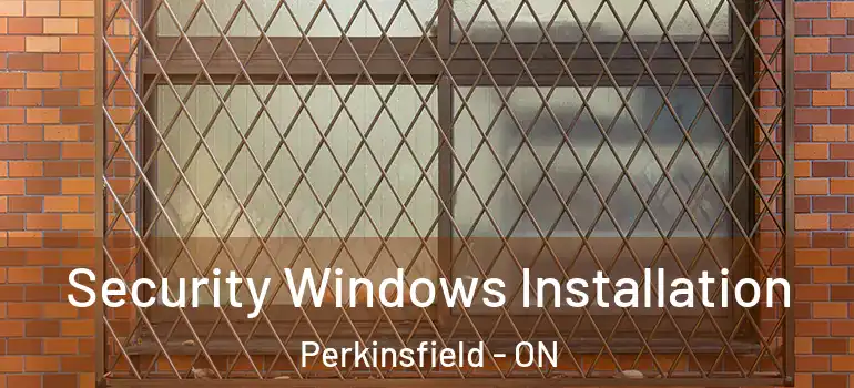 Security Windows Installation Perkinsfield - ON