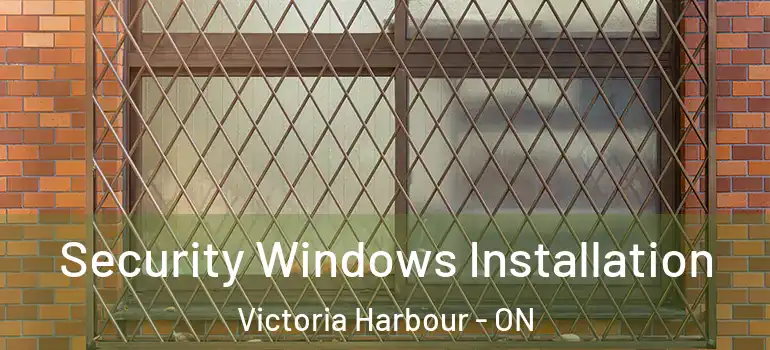  Security Windows Installation Victoria Harbour - ON