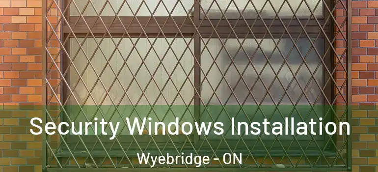  Security Windows Installation Wyebridge - ON