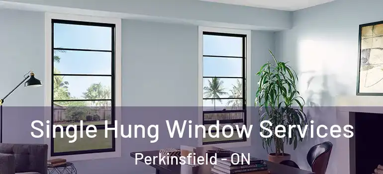  Single Hung Window Services Perkinsfield - ON